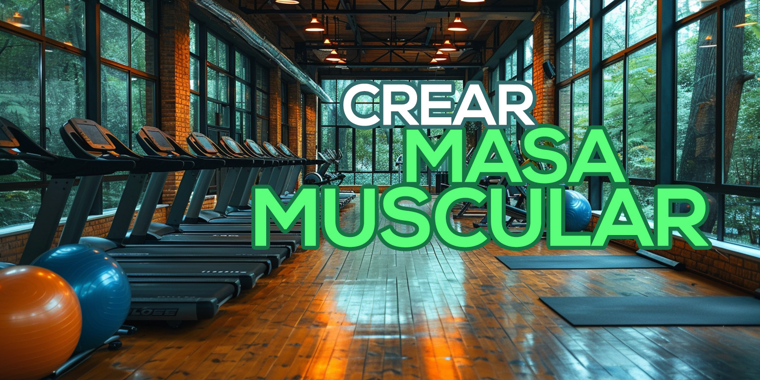 Crear masa muscular